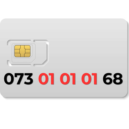 073 010101 68