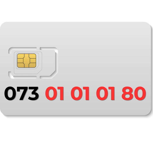 073 010101 80