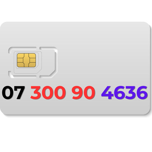 EE gold VIP number 07300904636 with 636 numerology pattern and easy to remember sequence
