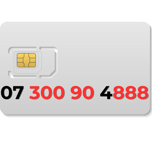 EE VIP mobile number 07300904888 with 888 lucky digits for wealth and success