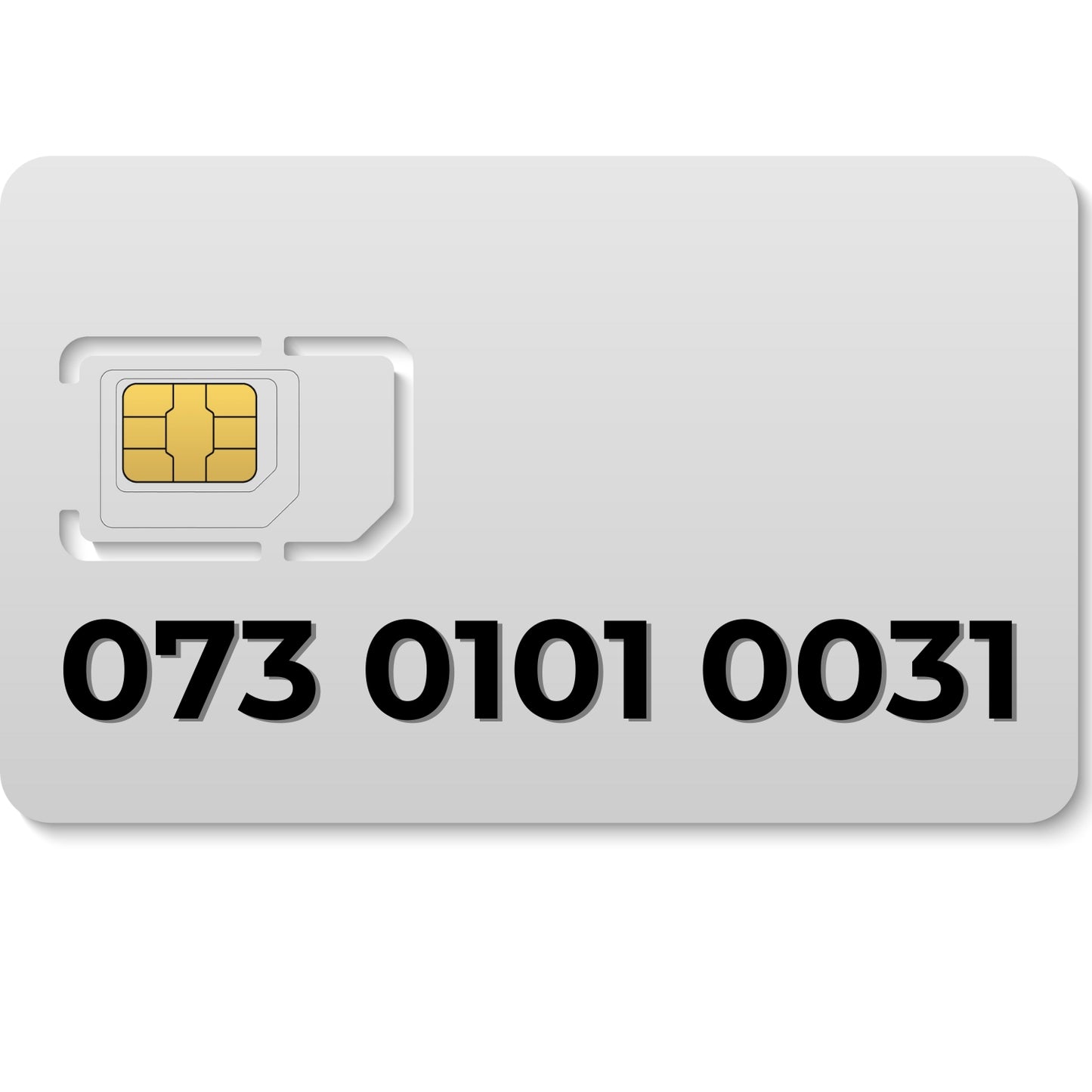 073 0101 0031