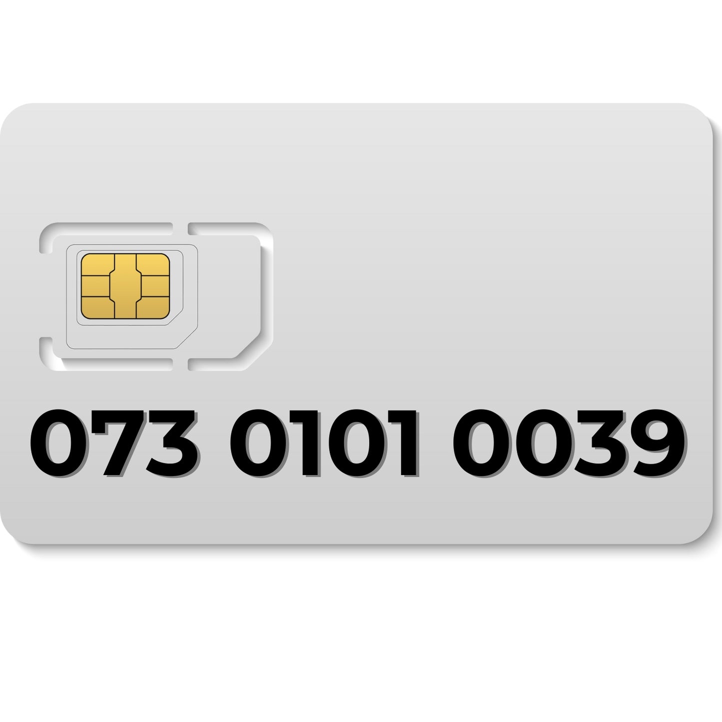 073 0101 0039