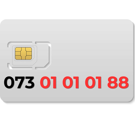 073 010101 88