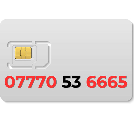 07770 53 6665